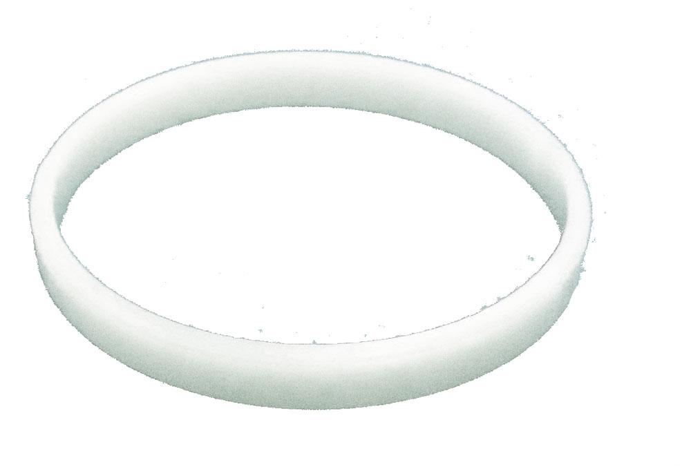 <b>Diaphragm Ring <br>for Auto Cleaner