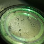 <b>Portavasos decorativo</b> 