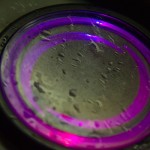 <b>Portavasos decorativo</b> 