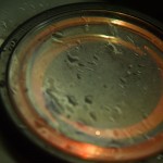 <b>Portavasos decorativo</b> 