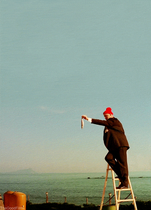 Bill Murray channeling Jacques Cousteau in Wes Anderson's Life Aquatic.